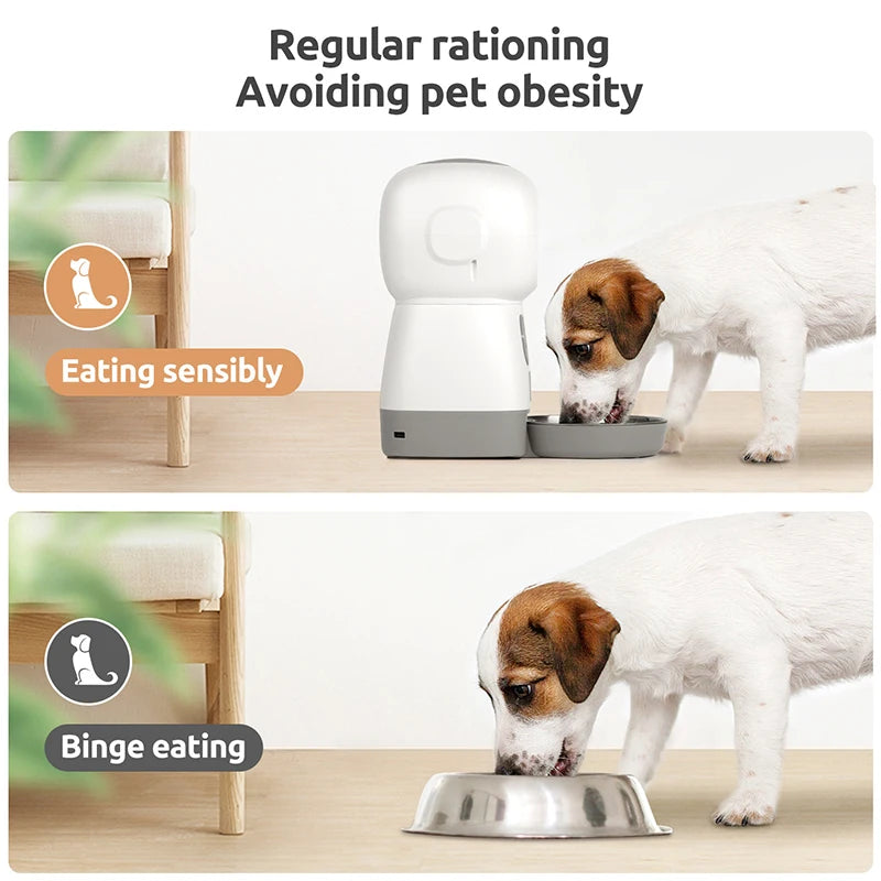 3.5L Automatic smart Pet Feeder - Just Endless