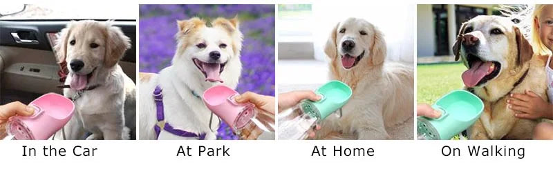 Portable Dog Water Bottle - Just Endless